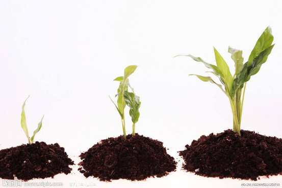 1506581132111964.png 圖片111.png