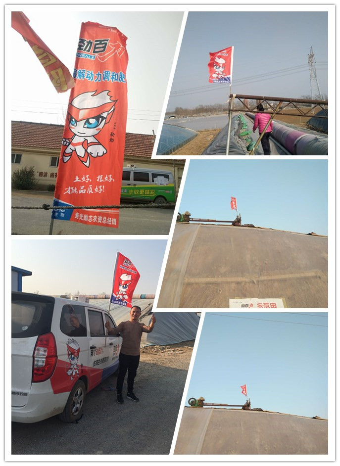 1522229512569263.jpg zhenghe.jpg