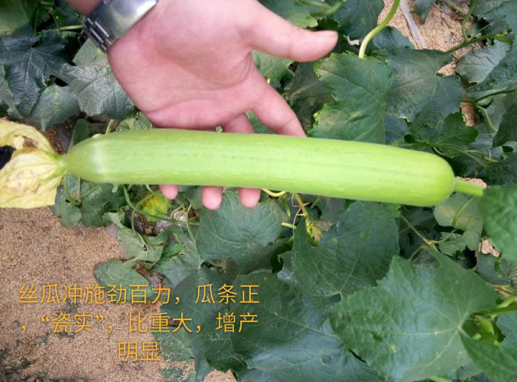 1553058622249670.png 1553058622249670.png