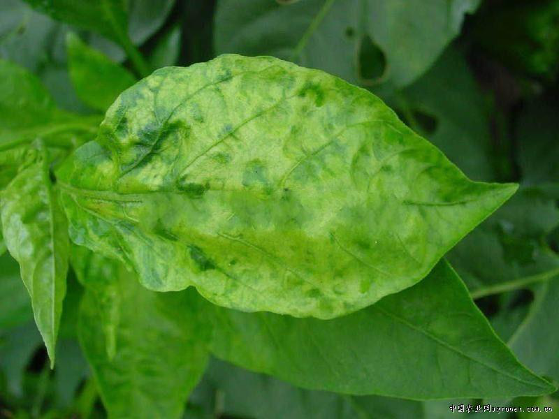 1553133658712477.png 1553133658712477.png