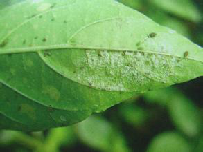 1553133739120282.png 1553133739120282.png