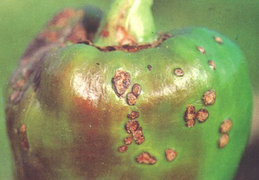 1553133973106533.png 1553133973106533.png