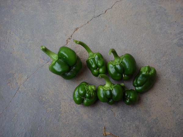 1554174716137486.png 空1.png