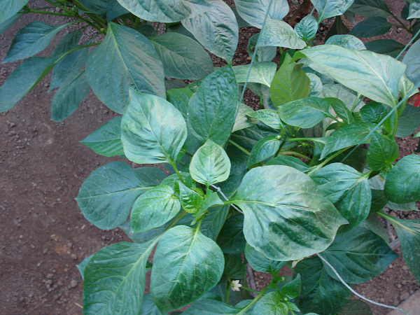 1554174964251348.png 空3.png