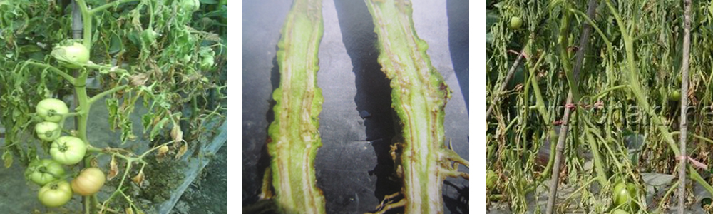 1561788440121310.jpg 4.jpg