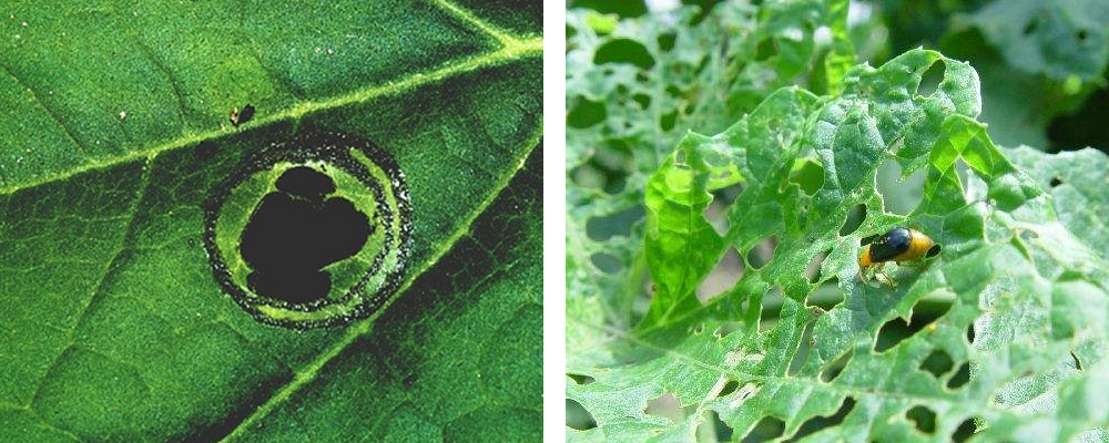 1561792089810632.jpg 12.jpg