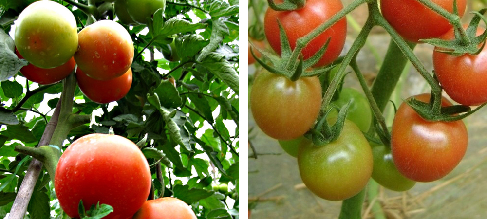 1562045362809470.jpg 3.jpg