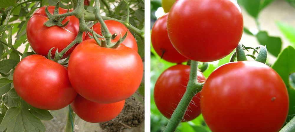 1562045433198290.jpg 2.jpg